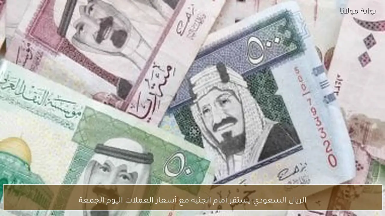 الريال السعودي يستقر أمام الجنيه مع أسعار العملات اليوم الجمعة