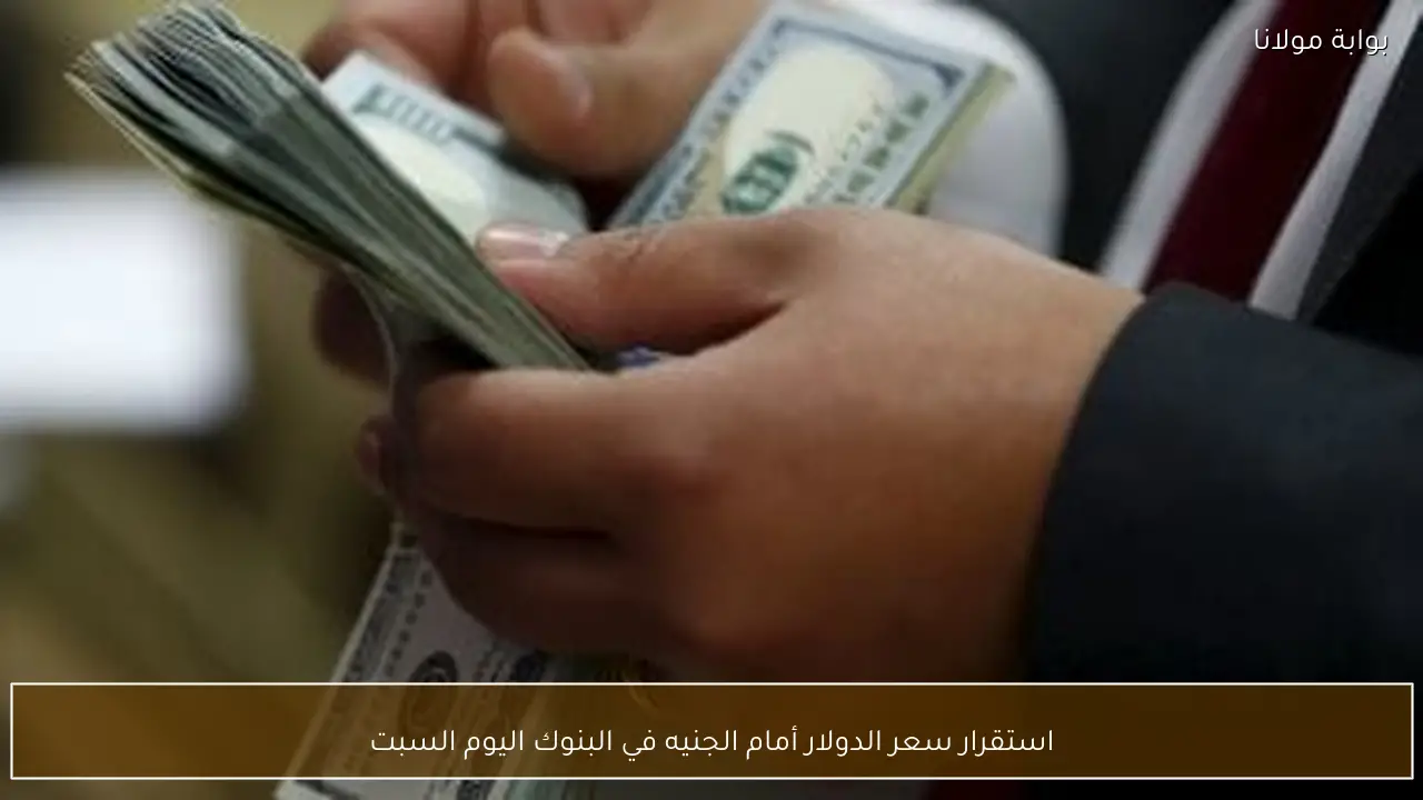 استقرار سعر الدولار أمام الجنيه في البنوك اليوم السبت