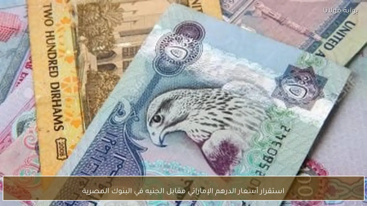 استقرار أسعار الدرهم الإماراتي مقابل الجنيه في البنوك المصرية