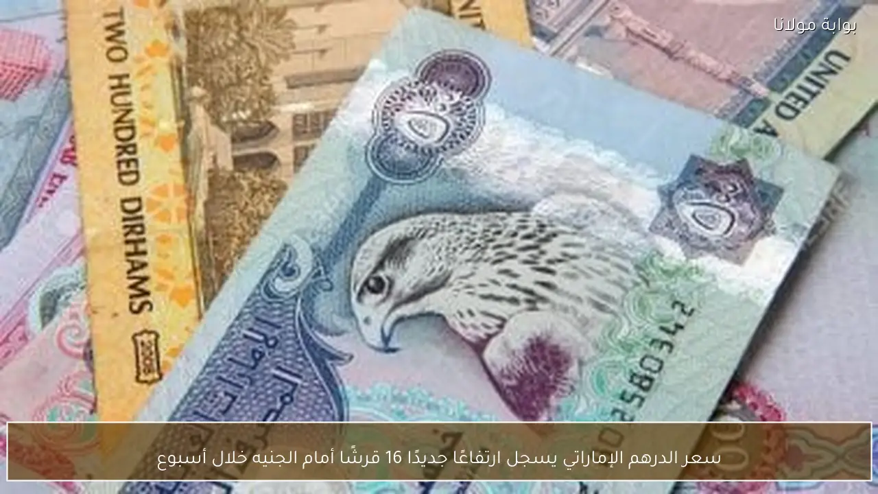 سعر الدرهم الإماراتي يسجل ارتفاعًا جديدًا 16 قرشًا أمام الجنيه خلال أسبوع