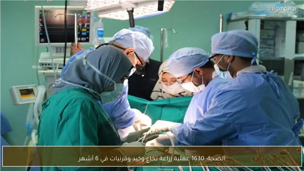 الصحة: 1630 عملية زراعة نخاع وكبد وقرنيات في 6 أشهر