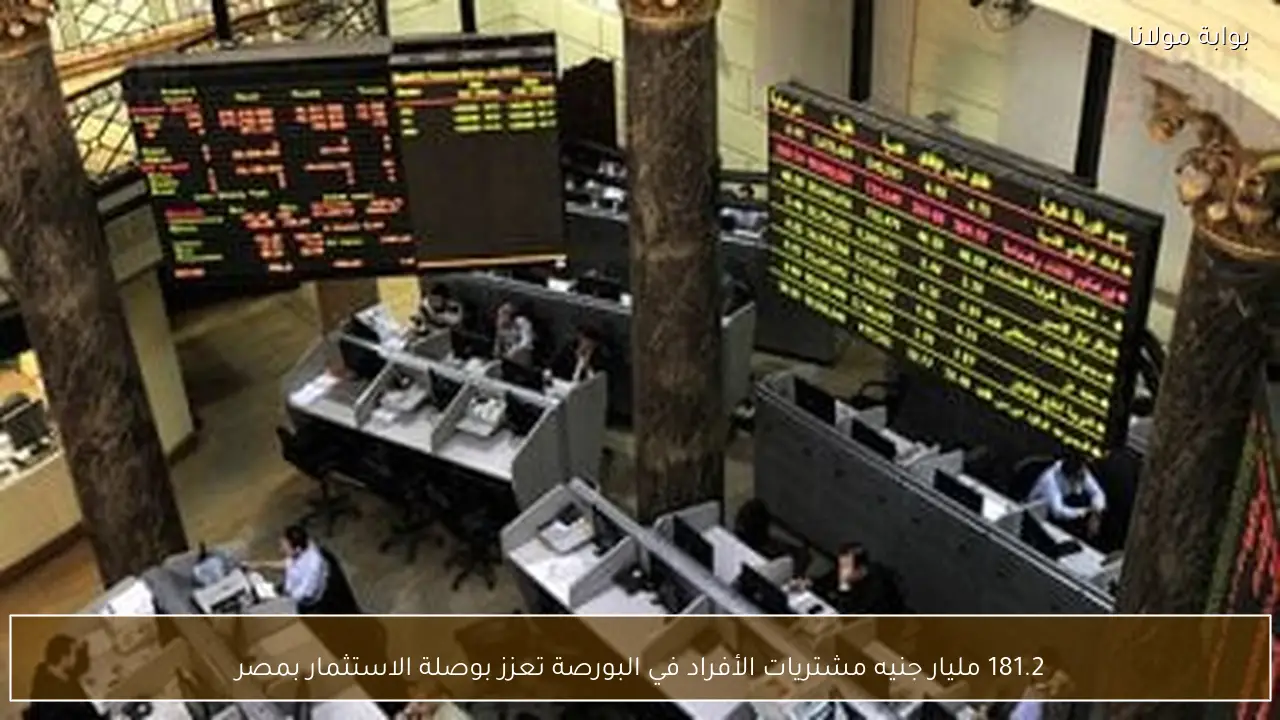 181.2 مليار جنيه مشتريات الأفراد في البورصة تعزز بوصلة الاستثمار بمصر