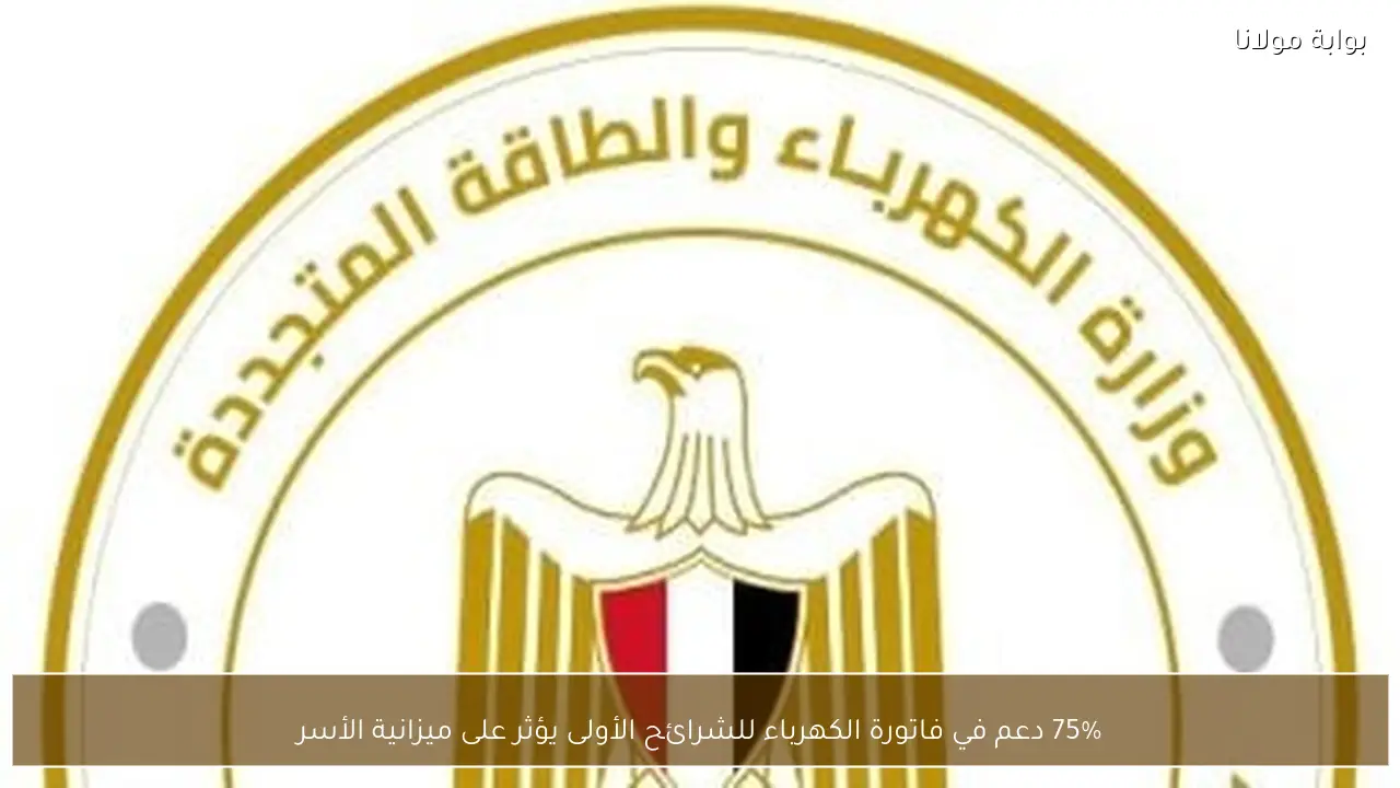75% دعم في فاتورة الكهرباء للشرائح الأولى يؤثر على ميزانية الأسر