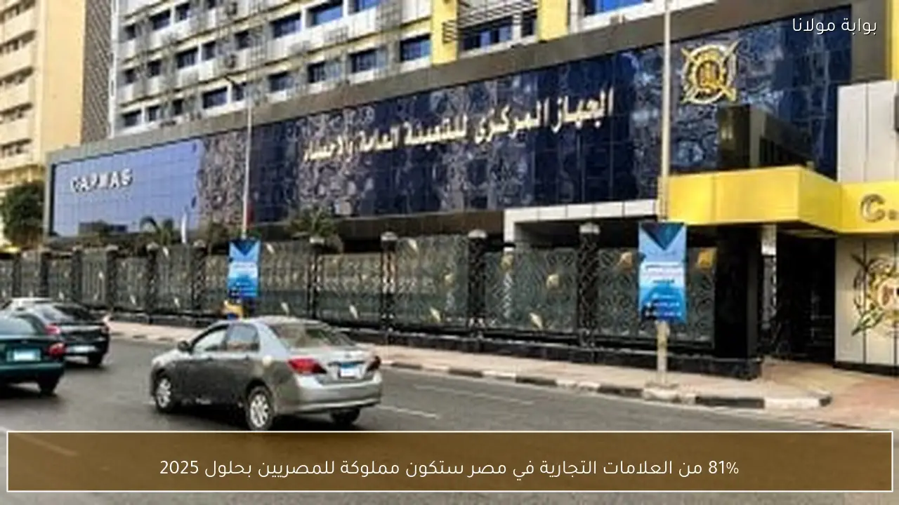 81% من العلامات التجارية في مصر ستكون مملوكة للمصريين بحلول 2025