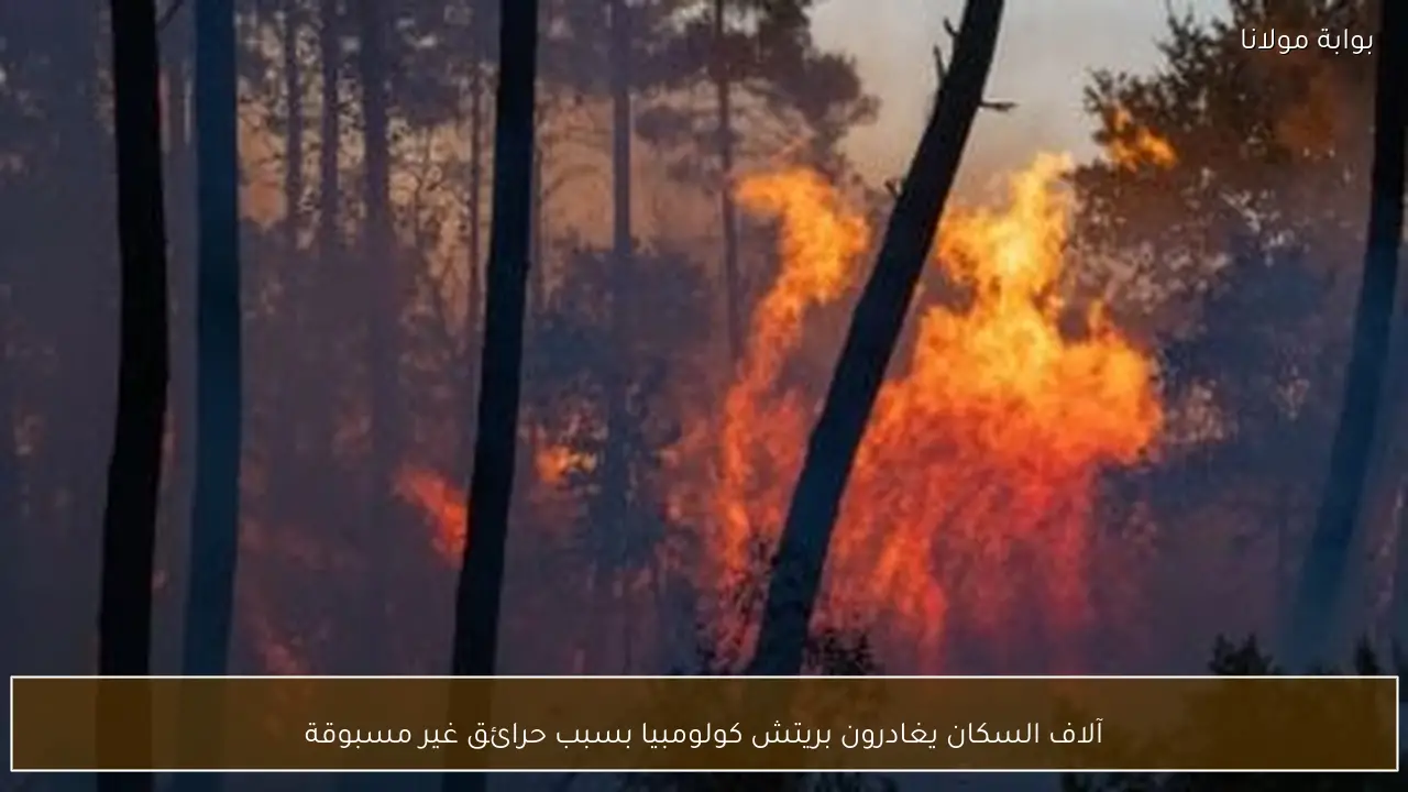 آلاف السكان يغادرون بريتش كولومبيا بسبب حرائق غير مسبوقة