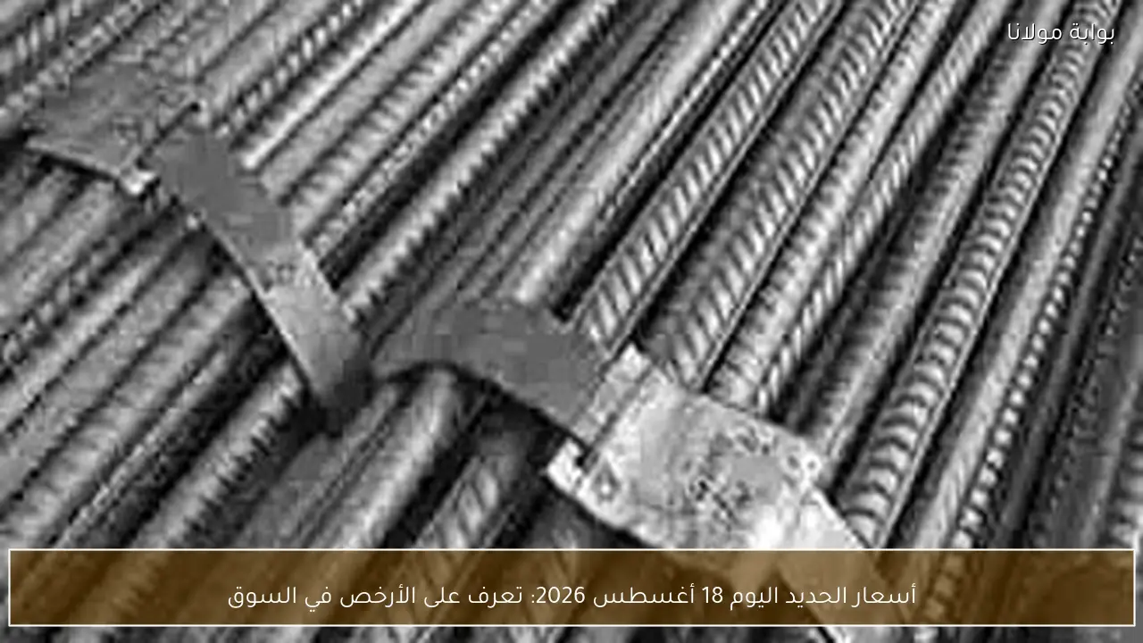 أسعار الحديد اليوم 18 أغسطس 2026: تعرف على الأرخص في السوق