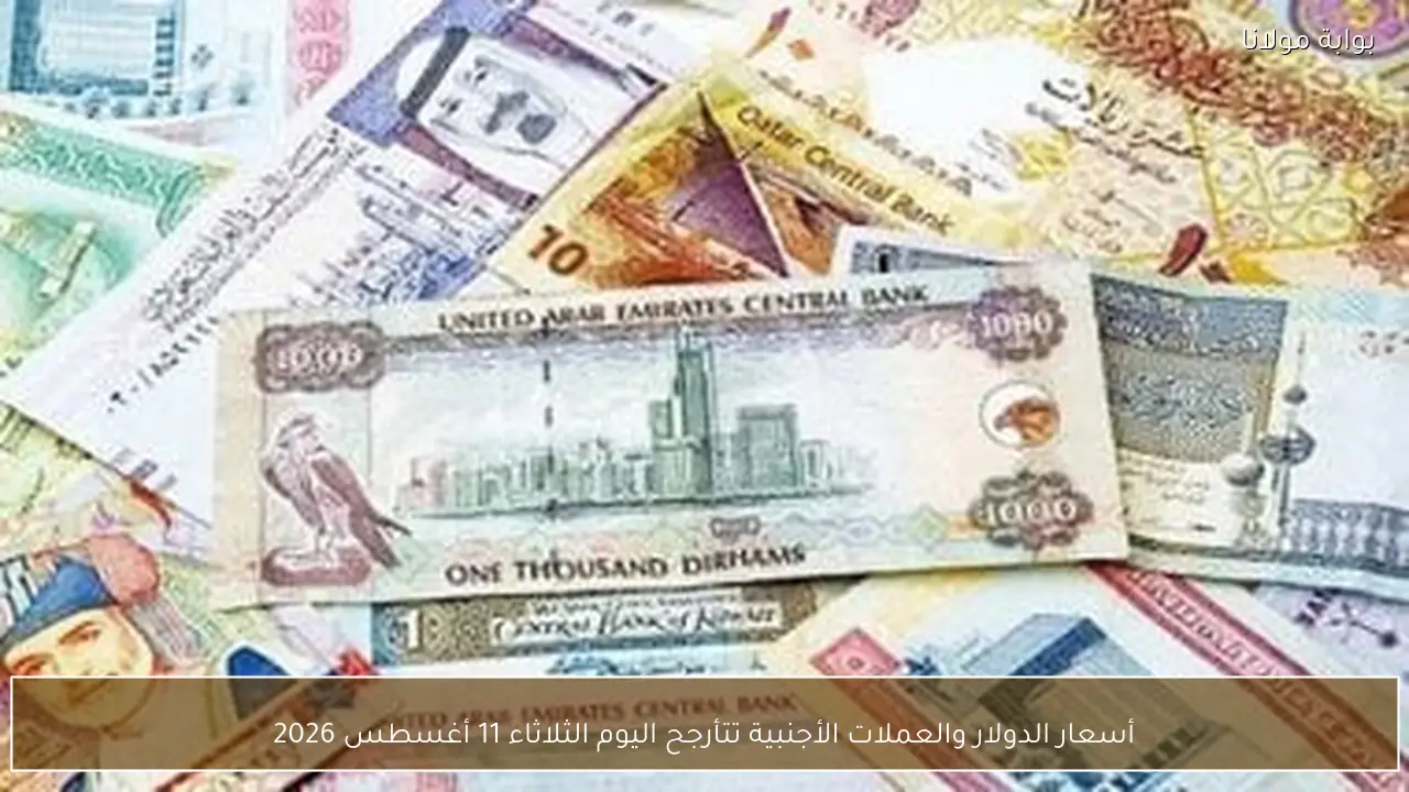 أسعار الدولار والعملات الأجنبية تتأرجح اليوم الثلاثاء 11 أغسطس 2026