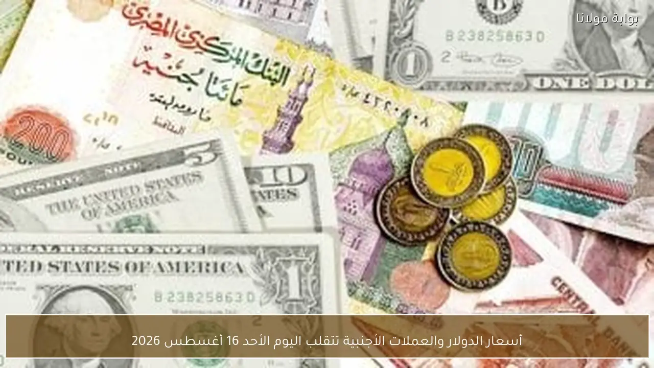 أسعار الدولار والعملات الأجنبية تتقلب اليوم الأحد 16 أغسطس 2026