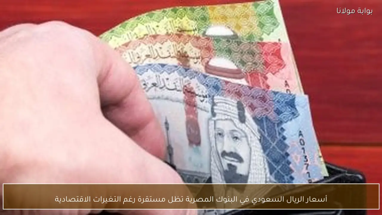 أسعار الريال السعودي في البنوك المصرية تظل مستقرة رغم التغيرات الاقتصادية