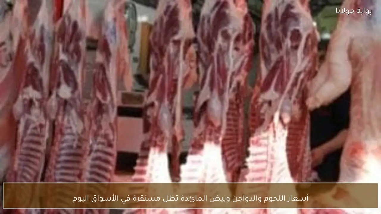 أسعار اللحوم والدواجن وبيض المائدة تظل مستقرة في الأسواق اليوم