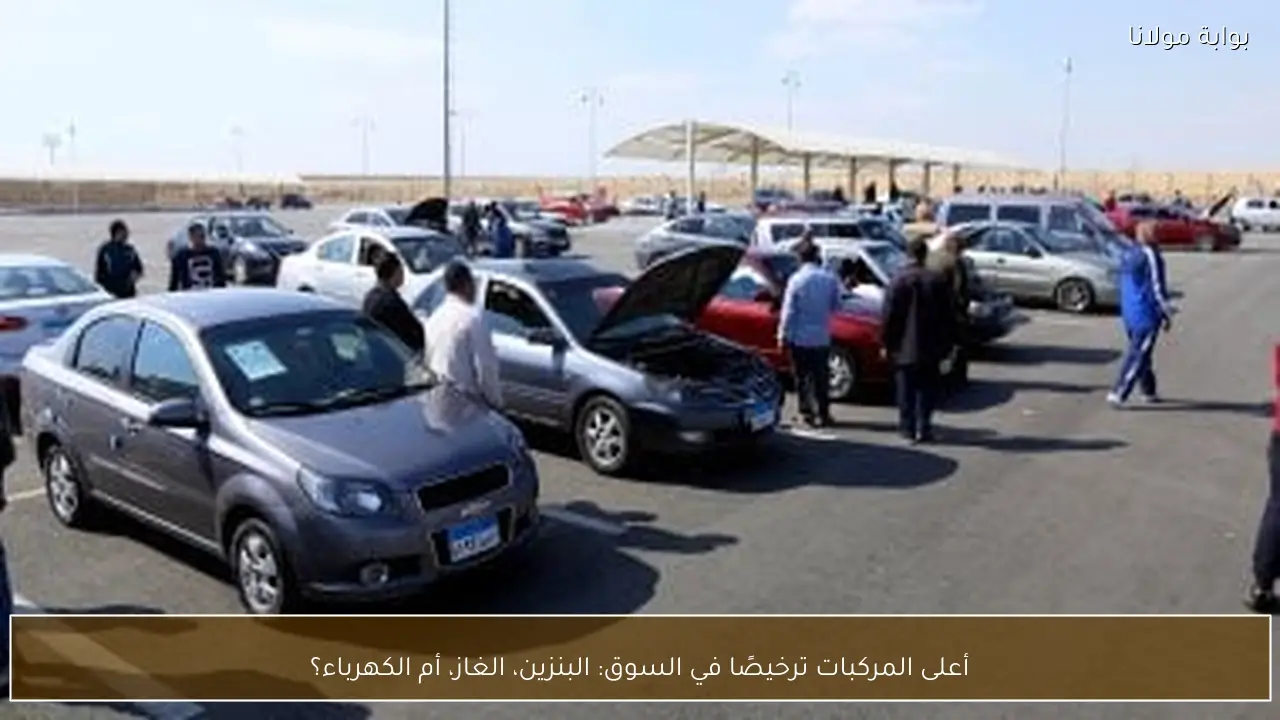أعلى المركبات ترخيصًا في السوق: البنزين، الغاز، أم الكهرباء؟