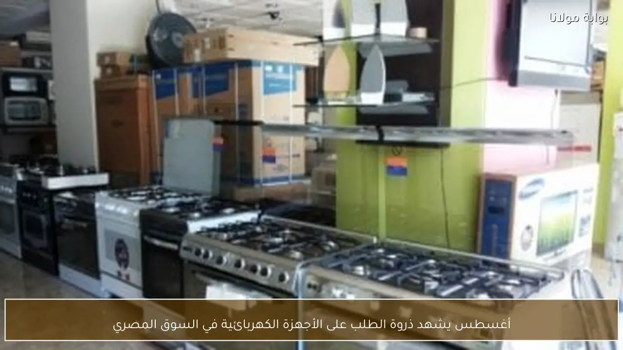 أغسطس يشهد ذروة الطلب على الأجهزة الكهربائية في السوق المصري