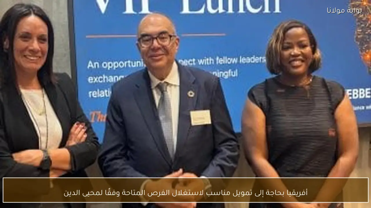 أفريقيا بحاجة إلى تمويل مناسب لاستغلال الفرص المتاحة وفقًا لمحيى الدين