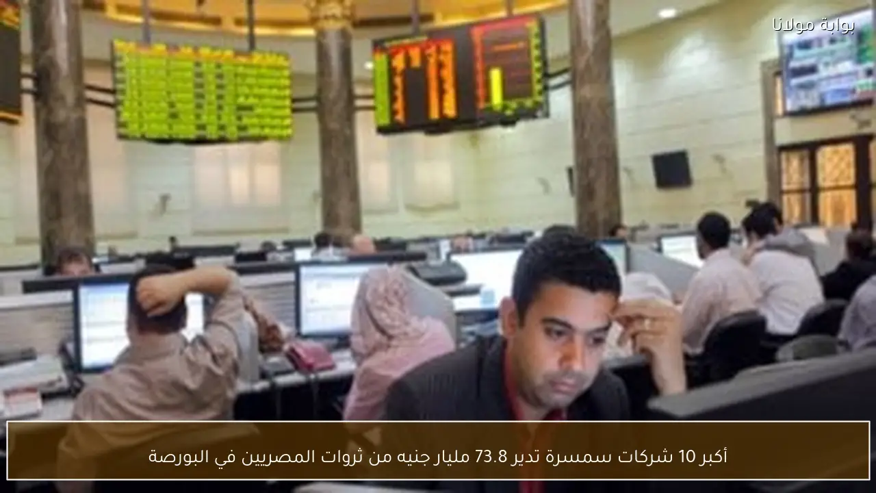 أكبر 10 شركات سمسرة تدير 73.8 مليار جنيه من ثروات المصريين في البورصة