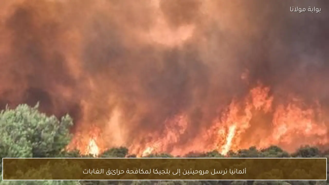 ألمانيا ترسل مروحيتين إلى بلجيكا لمكافحة حرائق الغابات