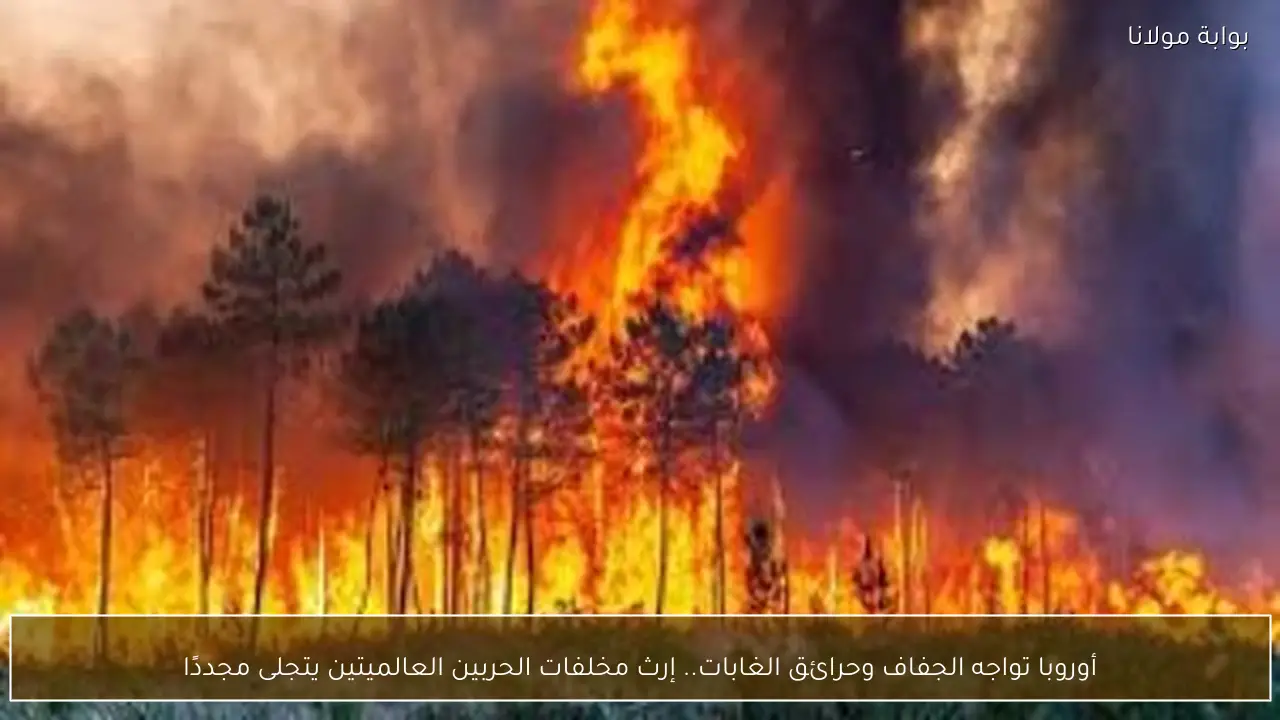 أوروبا تواجه الجفاف وحرائق الغابات.. إرث مخلفات الحربين العالميتين يتجلى مجددًا