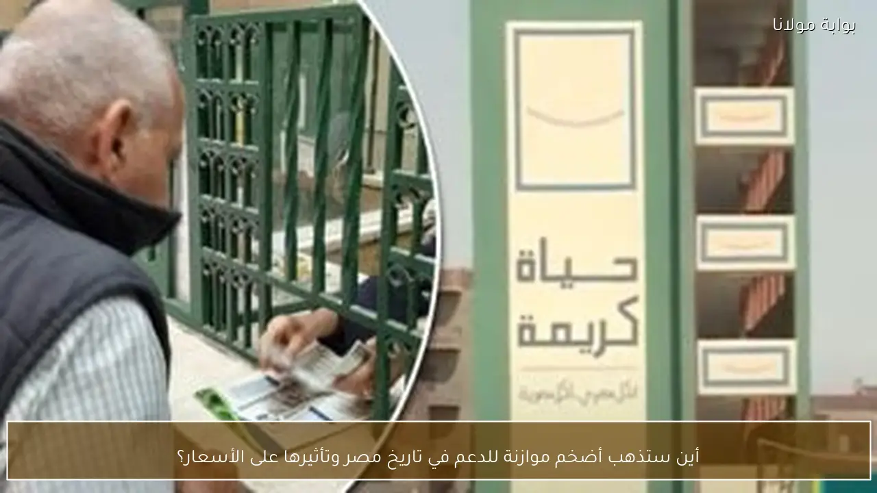 أين ستذهب أضخم موازنة للدعم في تاريخ مصر وتأثيرها على الأسعار؟