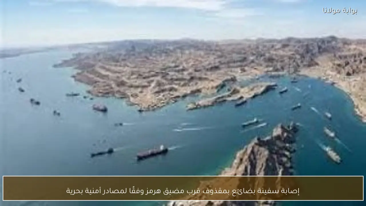 إصابة سفينة بضائع بمقذوف قرب مضيق هرمز وفقًا لمصادر أمنية بحرية