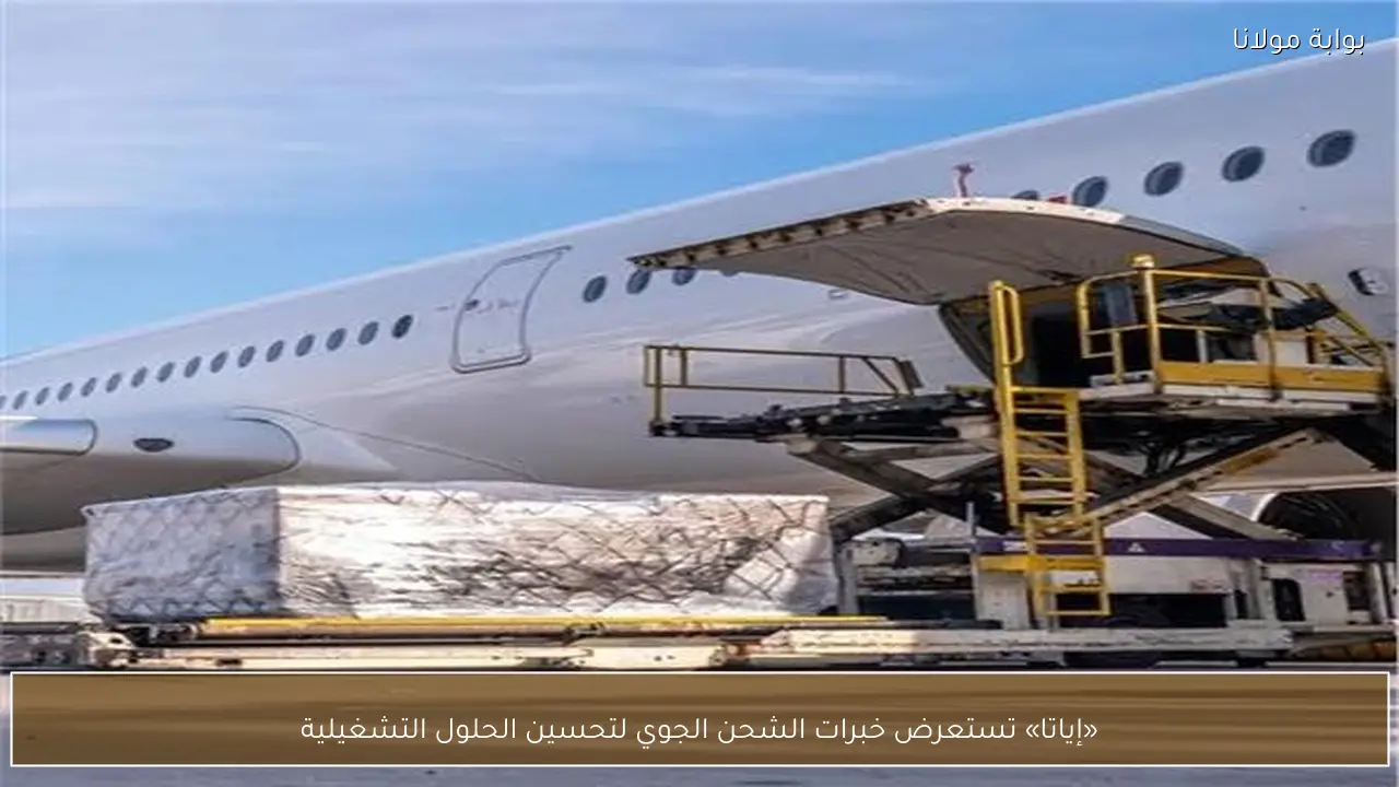 «إياتا» تستعرض خبرات الشحن الجوي لتحسين الحلول التشغيلية
