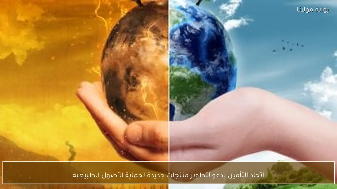 اتحاد التأمين يدعو لتطوير منتجات جديدة لحماية الأصول الطبيعية
