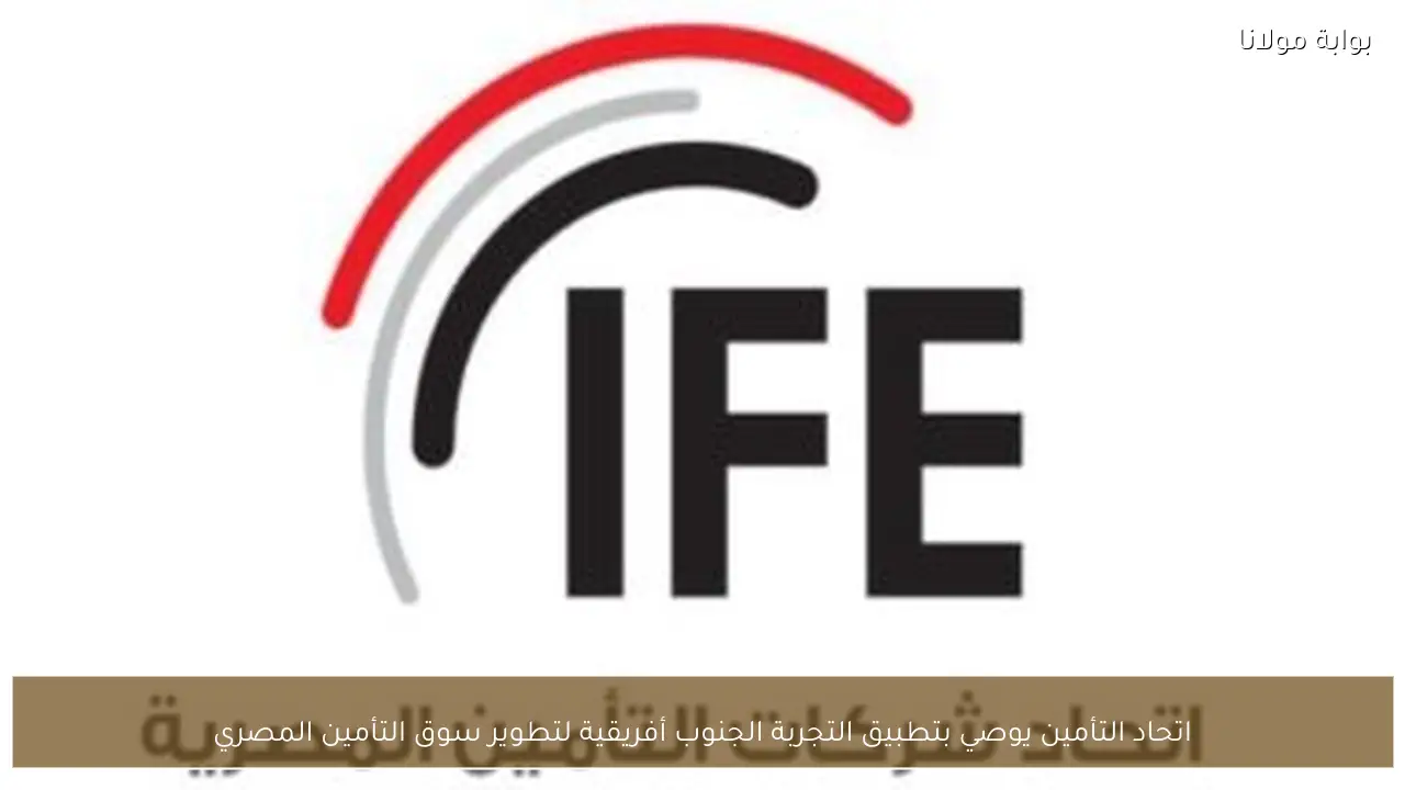 اتحاد التأمين يوصي بتطبيق التجربة الجنوب أفريقية لتطوير سوق التأمين المصري