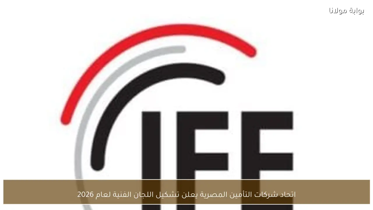 اتحاد شركات التأمين المصرية يعلن تشكيل اللجان الفنية لعام 2026