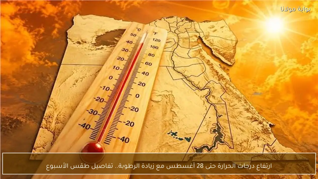 ارتفاع درجات الحرارة حتى 28 أغسطس مع زيادة الرطوبة.. تفاصيل طقس الأسبوع