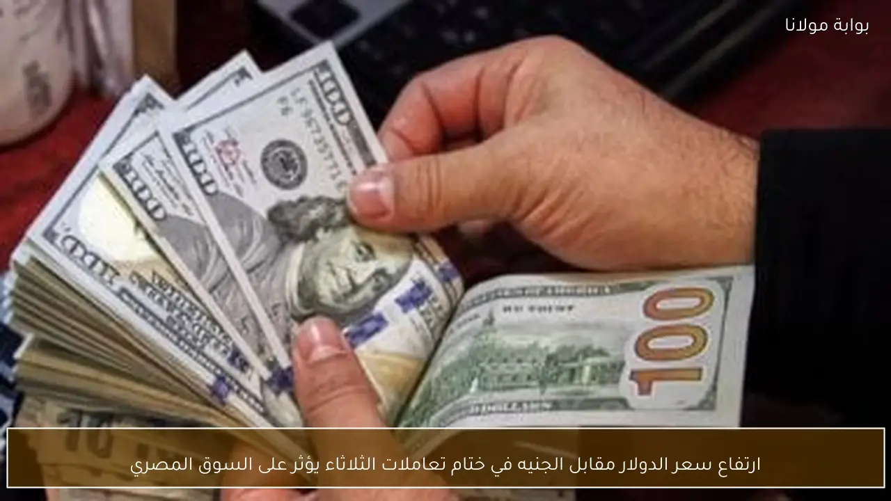ارتفاع سعر الدولار مقابل الجنيه في ختام تعاملات الثلاثاء يؤثر على السوق المصري