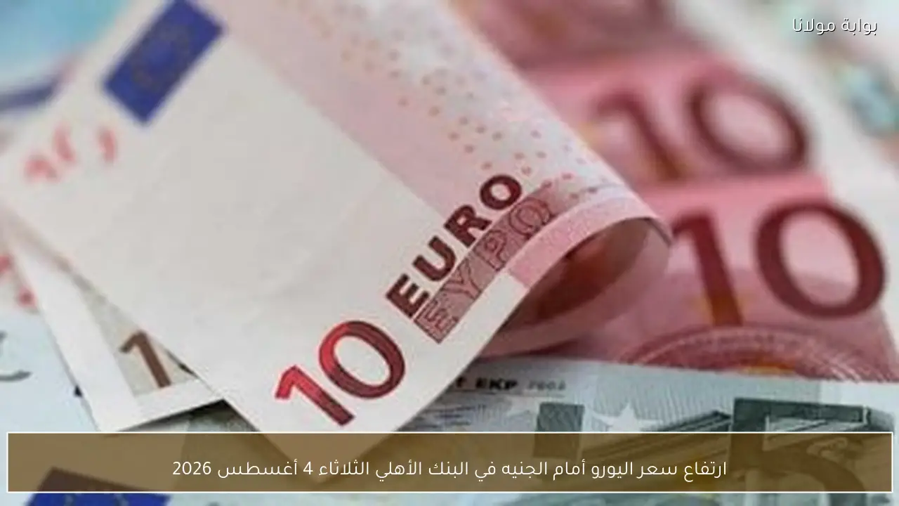 ارتفاع سعر اليورو أمام الجنيه في البنك الأهلي الثلاثاء 4 أغسطس 2026