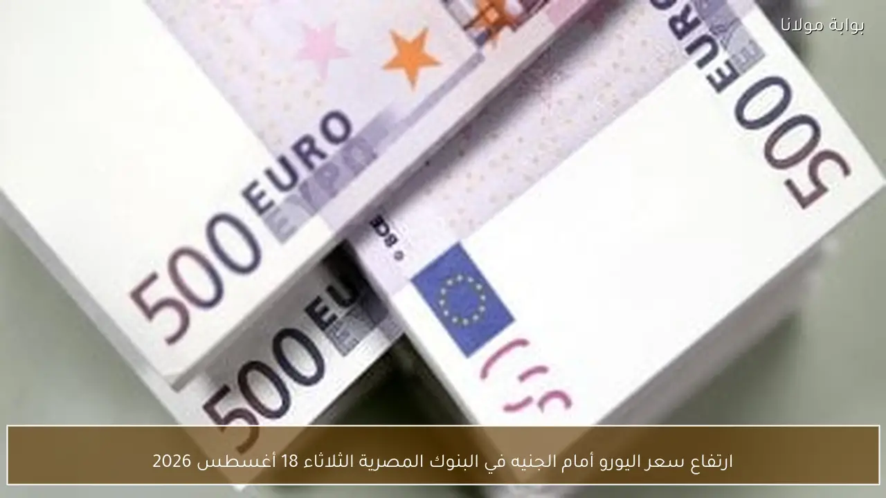 ارتفاع سعر اليورو أمام الجنيه في البنوك المصرية الثلاثاء 18 أغسطس 2026