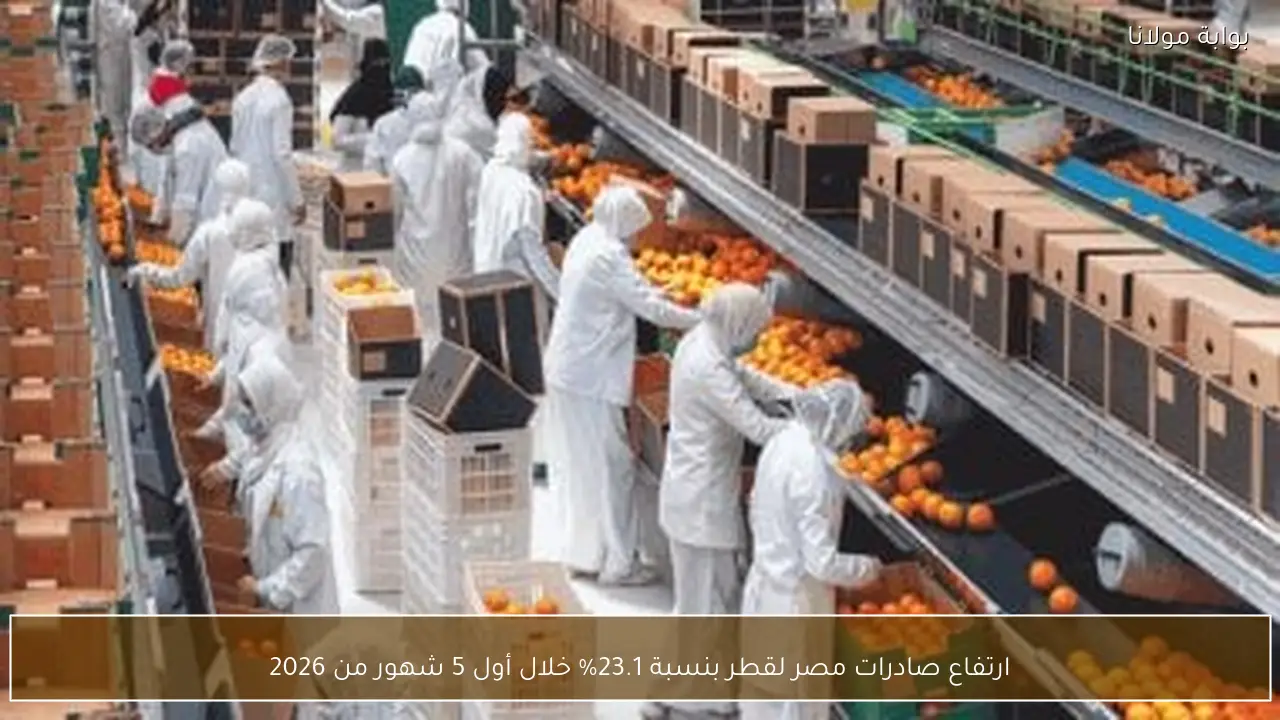 ارتفاع صادرات مصر لقطر بنسبة 23.1% خلال أول 5 شهور من 2026
