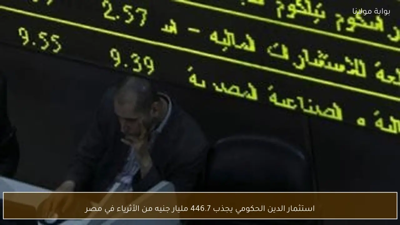 استثمار الدين الحكومي يجذب 446.7 مليار جنيه من الأثرياء في مصر