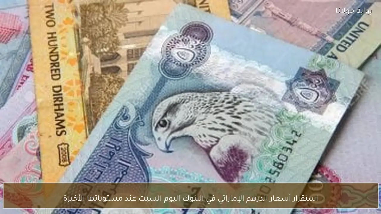 استقرار أسعار الدرهم الإماراتي في البنوك اليوم السبت عند مستوياتها الأخيرة
