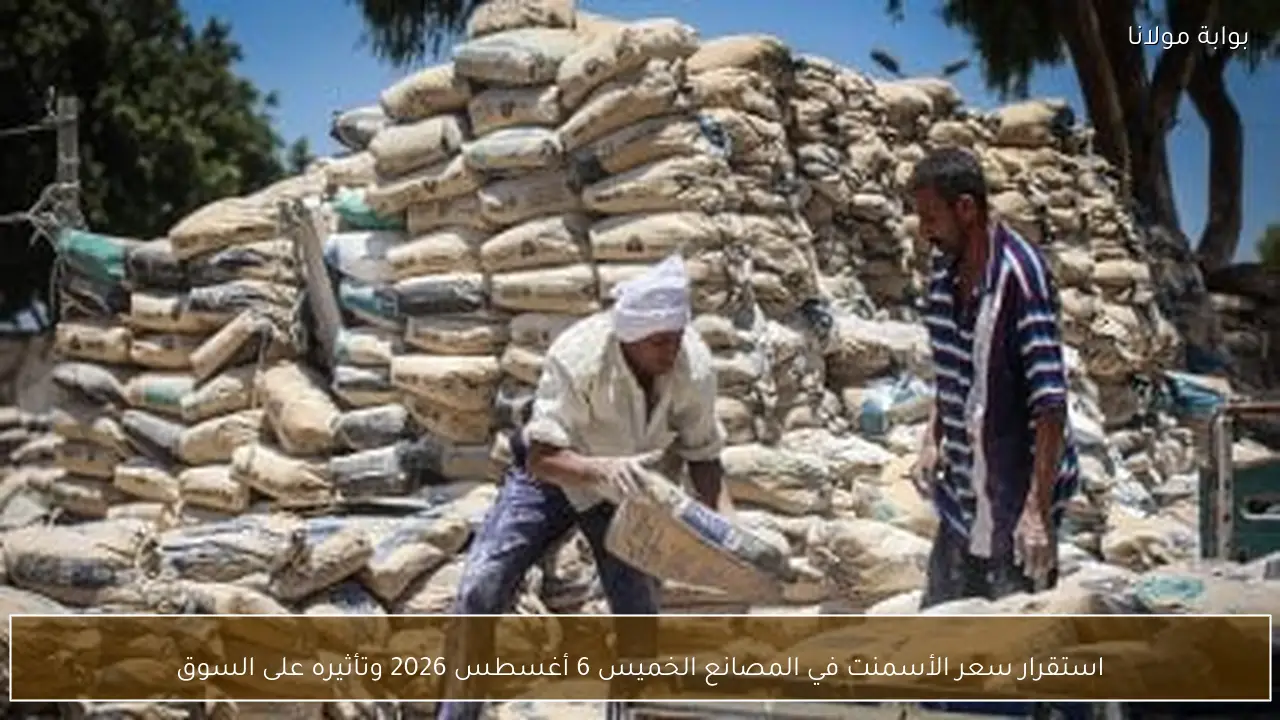 استقرار سعر الأسمنت في المصانع الخميس 6 أغسطس 2026 وتأثيره على السوق