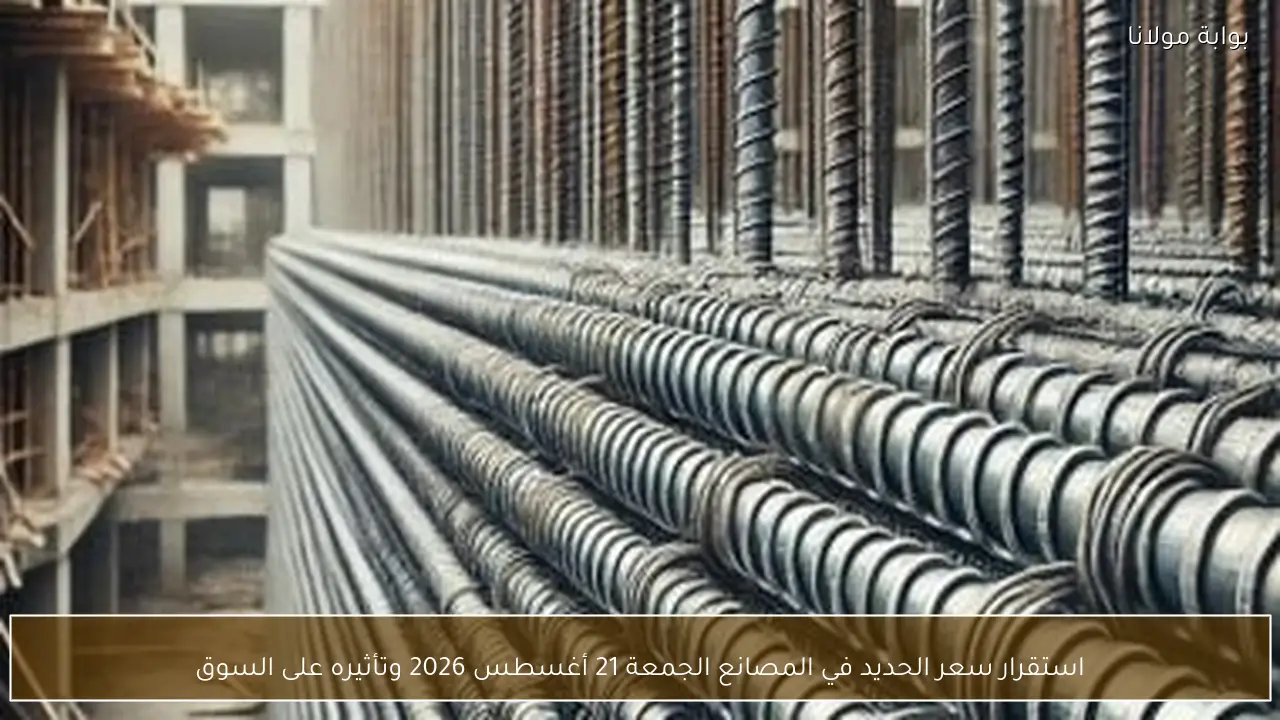 استقرار سعر الحديد في المصانع الجمعة 21 أغسطس 2026 وتأثيره على السوق