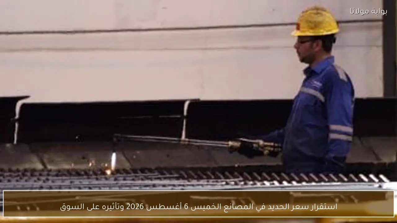 استقرار سعر الحديد في المصانع الخميس 6 أغسطس 2026 وتأثيره على السوق