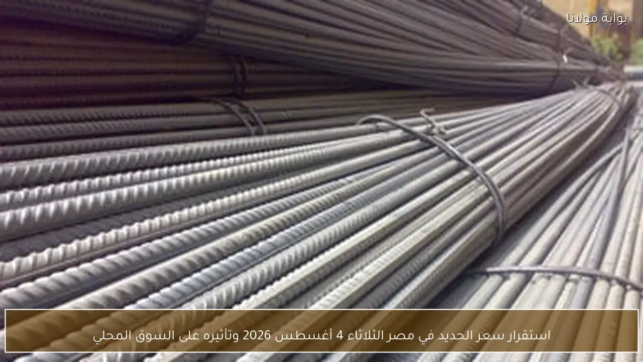 استقرار سعر الحديد في مصر الثلاثاء 4 أغسطس 2026 وتأثيره على السوق المحلي