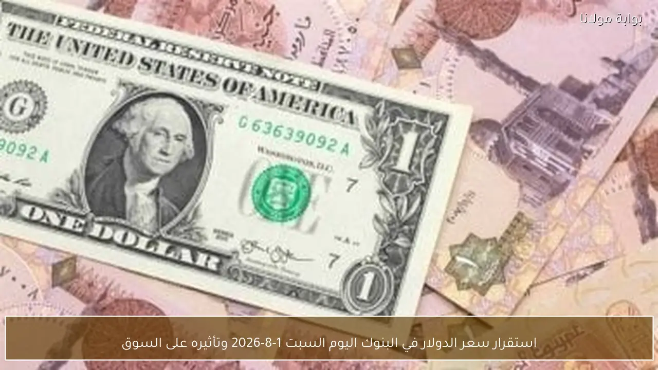 استقرار سعر الدولار في البنوك اليوم السبت 1-8-2026 وتأثيره على السوق