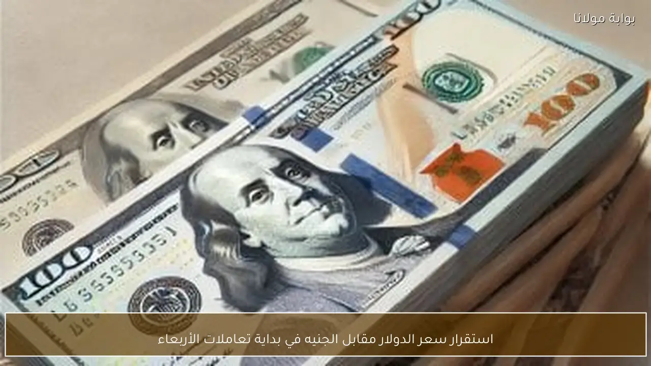 استقرار سعر الدولار مقابل الجنيه في بداية تعاملات الأربعاء