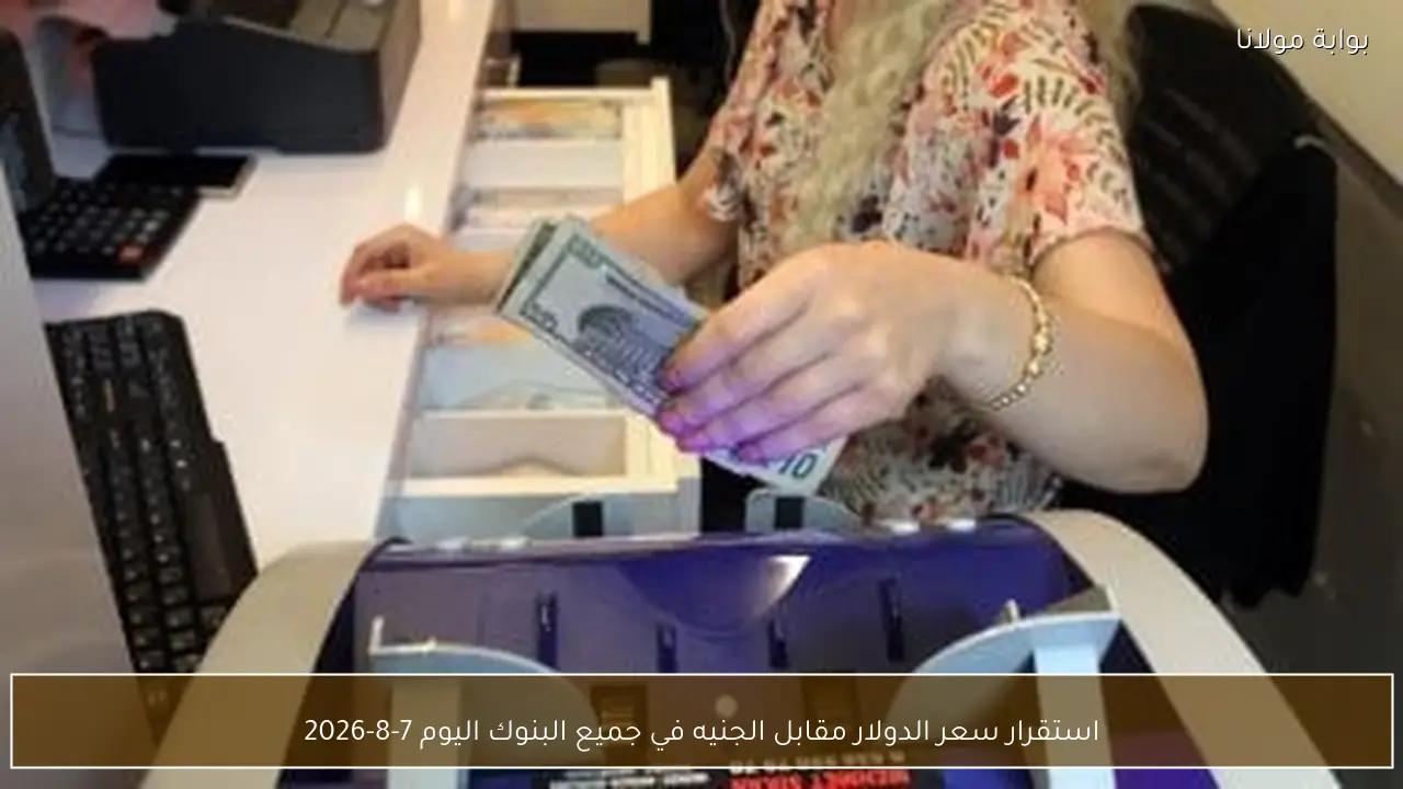 استقرار سعر الدولار مقابل الجنيه في جميع البنوك اليوم 7-8-2026