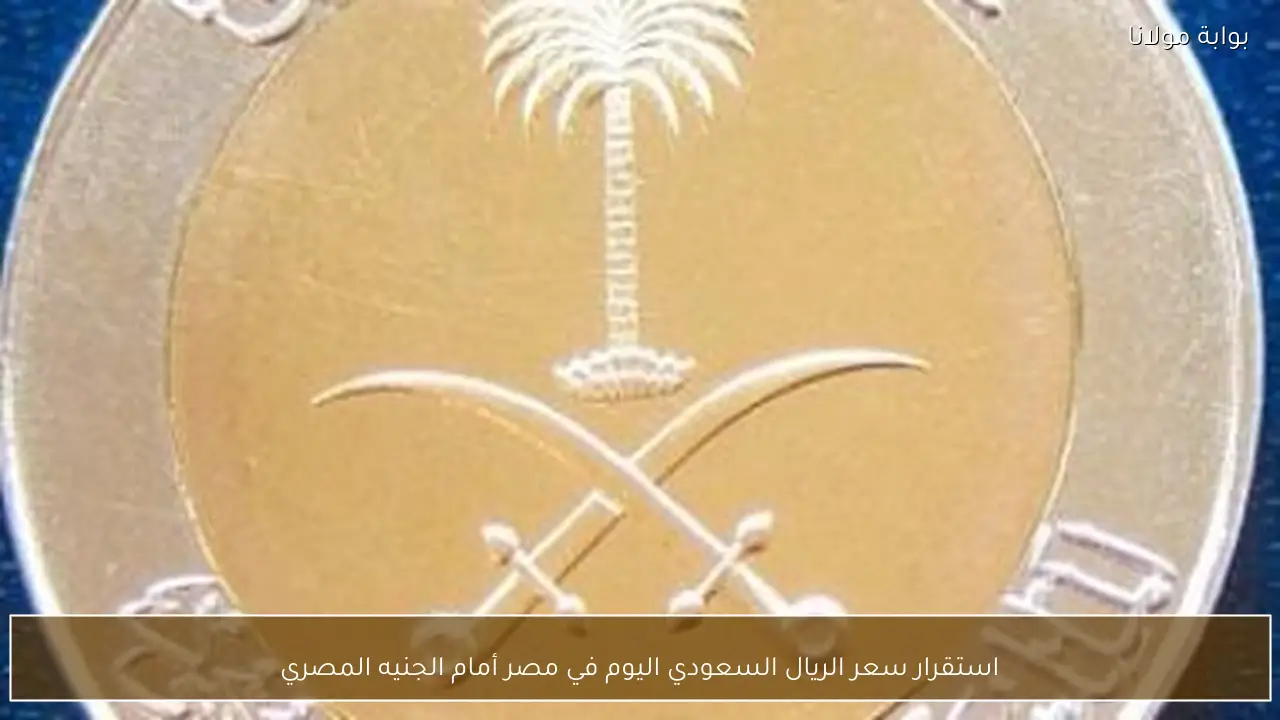 استقرار سعر الريال السعودي اليوم في مصر أمام الجنيه المصري