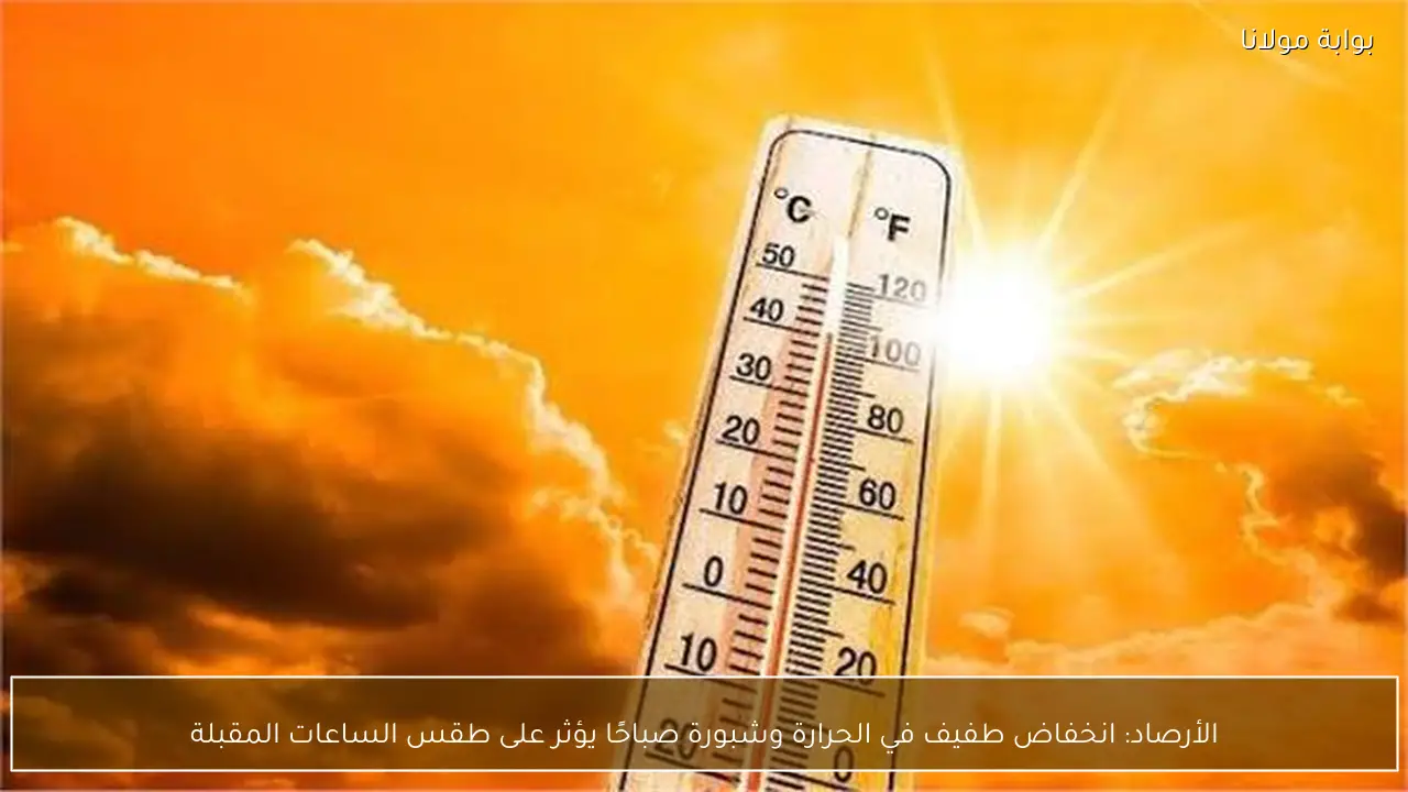 الأرصاد: انخفاض طفيف في الحرارة وشبورة صباحًا يؤثر على طقس الساعات المقبلة
