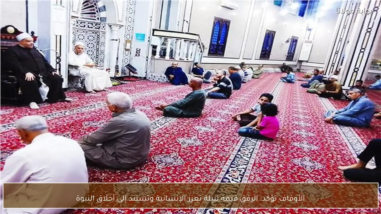 الأوقاف تؤكد: الرفق قيمة نبيلة تعزز الإنسانية وتستند إلى أخلاق النبوة
