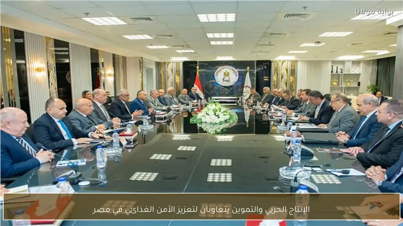الإنتاج الحربي والتموين يتعاونان لتعزيز الأمن الغذائي في مصر