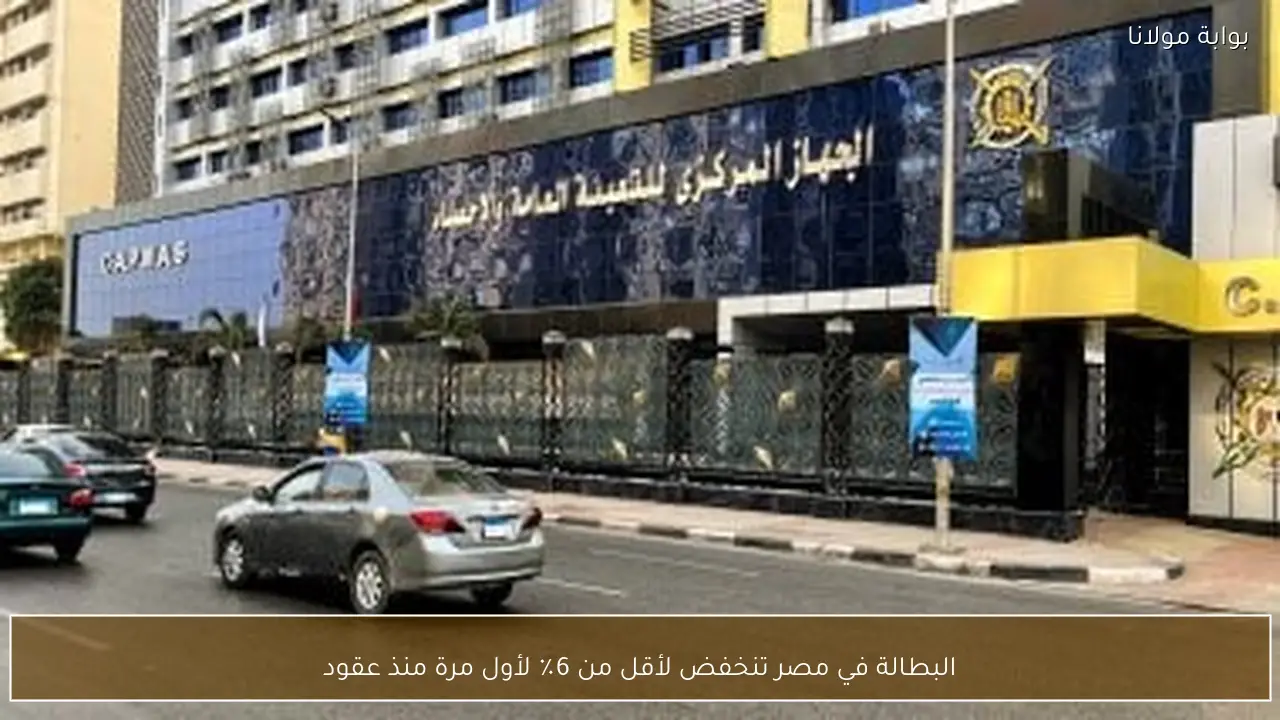 البطالة في مصر تنخفض لأقل من 6٪ لأول مرة منذ عقود