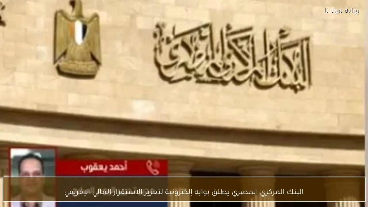 البنك المركزي المصري يطلق بوابة إلكترونية لتعزيز الاستقرار المالي الإفريقي