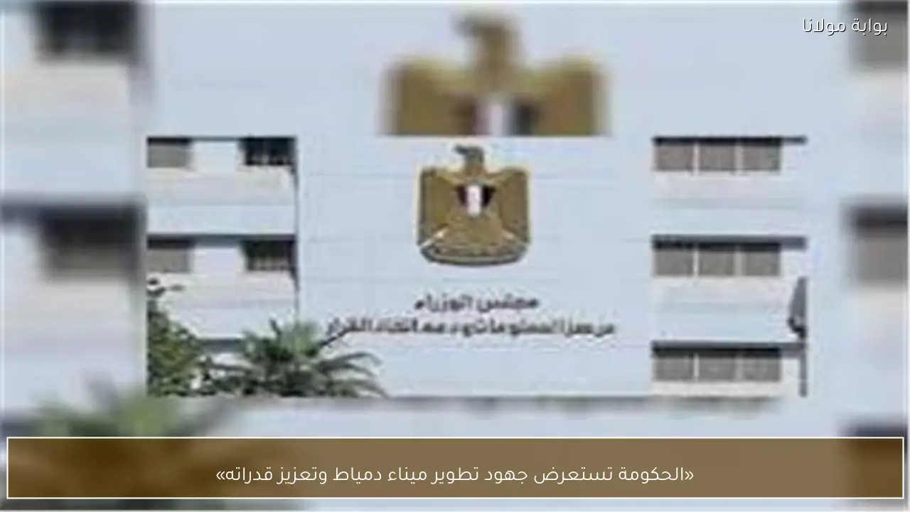 «الحكومة تستعرض جهود تطوير ميناء دمياط وتعزيز قدراته»