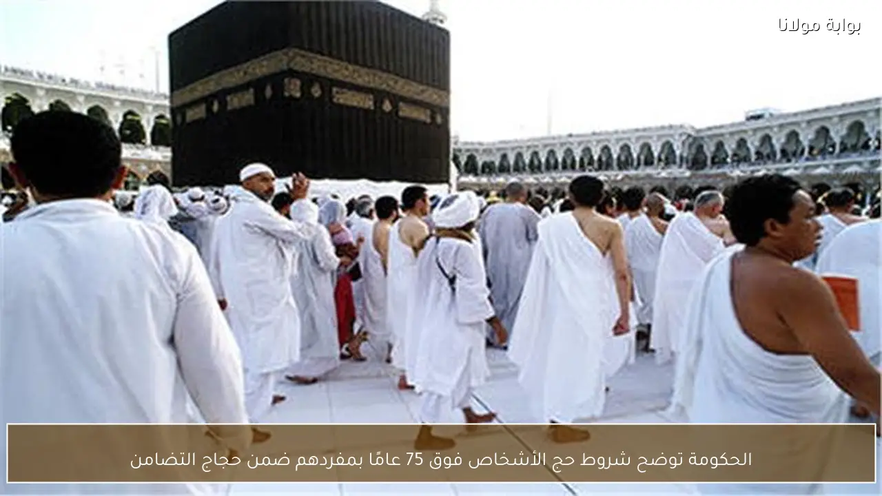 الحكومة توضح شروط حج الأشخاص فوق 75 عامًا بمفردهم ضمن حجاج التضامن