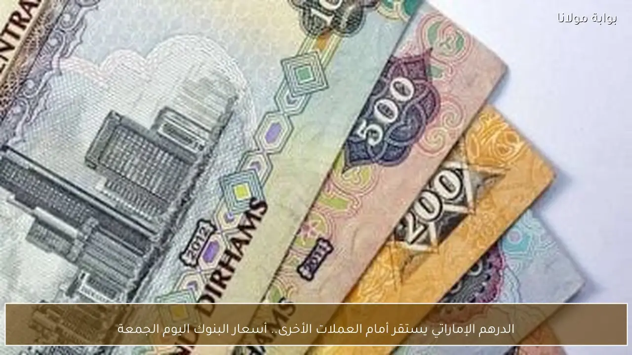 الدرهم الإماراتي يستقر أمام العملات الأخرى.. أسعار البنوك اليوم الجمعة