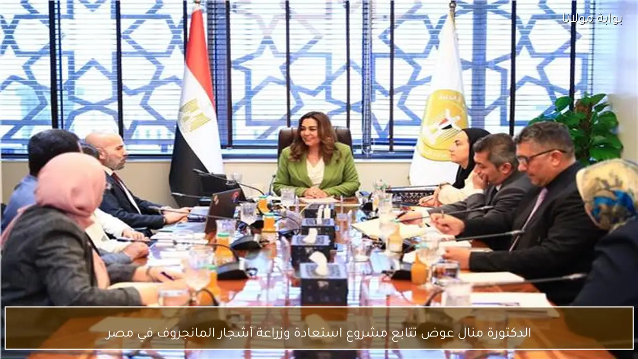 الدكتورة منال عوض تتابع مشروع استعادة وزراعة أشجار المانجروف في مصر